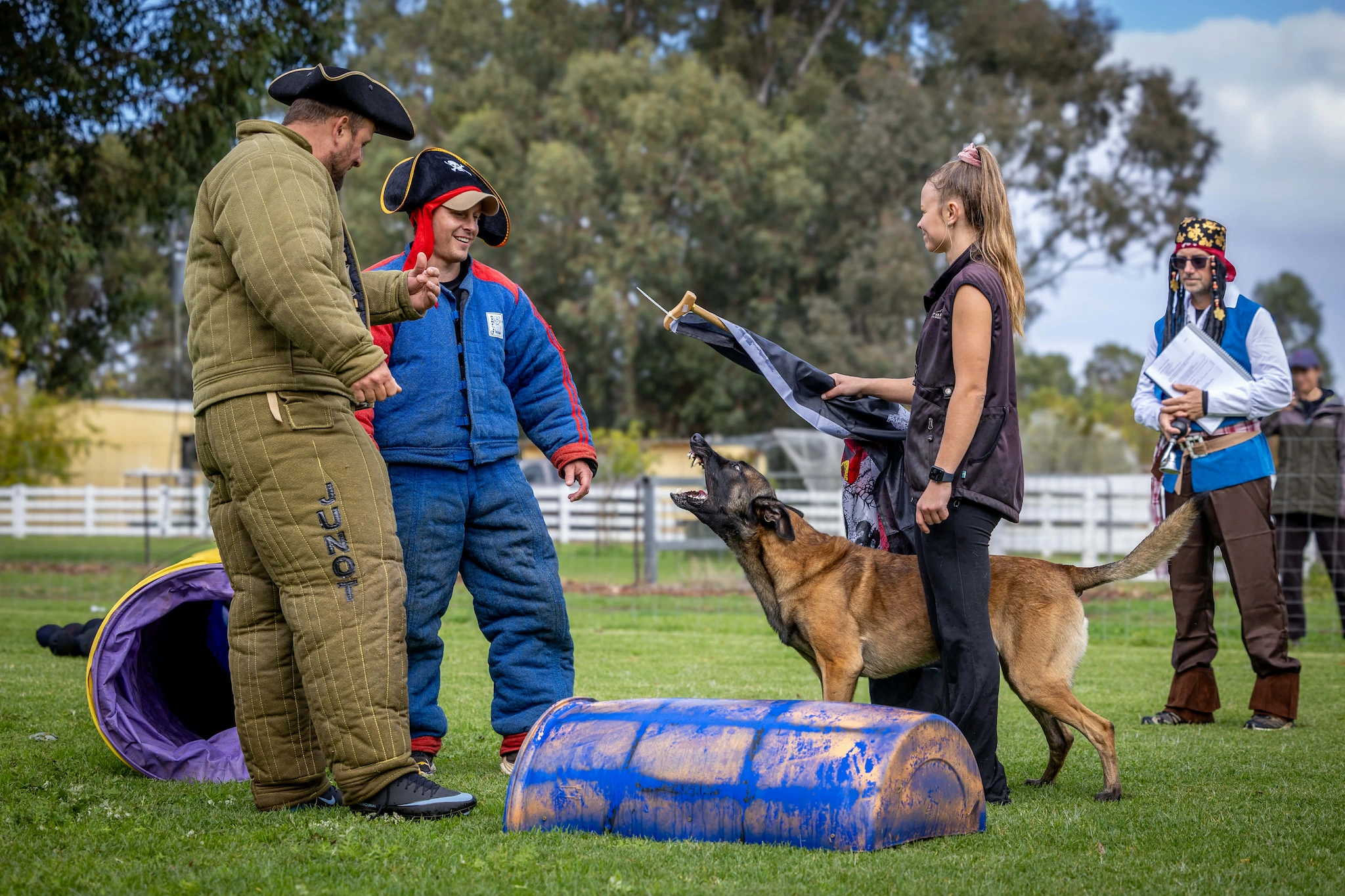 Belgian Malinois obedience training