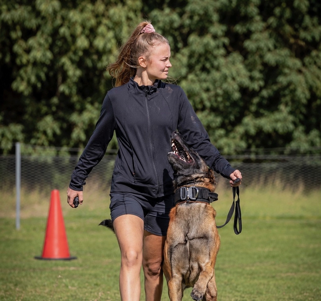 Private 1:1 Training
